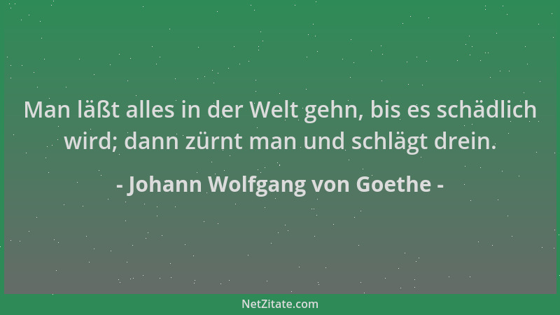 Johann Wolfgang von Goethe - Man läßt alles in der Welt gehn, bis es schädlich wird; dann zürnt man und schlägt drein....