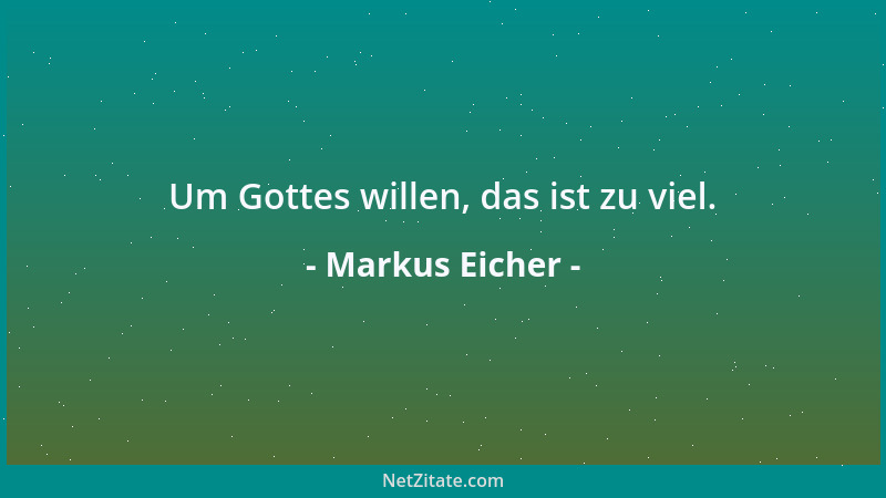 Markus Eicher - Um Gottes willen, das ist zu viel....