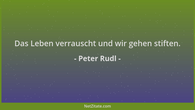 Peter Rudl - Das Leben verrauscht und wir gehen stiften....