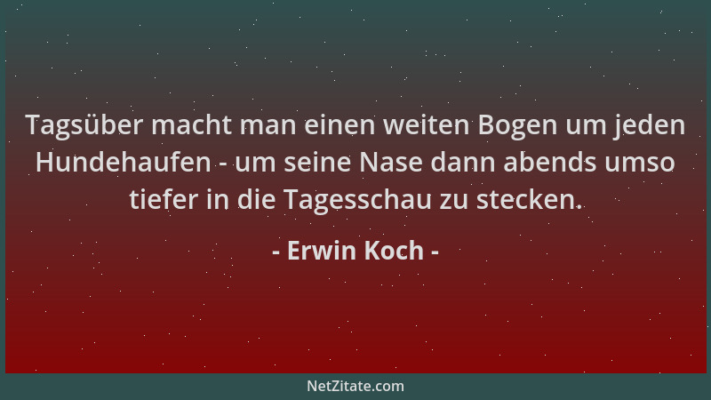 Erwin Koch - Tagsüber macht man einen weiten Bogen um jeden Hundehaufen - um seine Nase dann abends umso tiefer in die Tage...