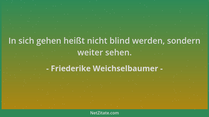 Friederike Weichselbaumer - In sich gehen heißt nicht blind werden, sondern weiter sehen....