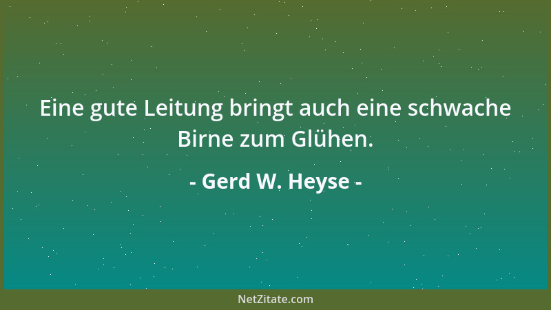 Gerd W. Heyse - Eine gute Leitung bringt auch eine schwache Birne zum Glühen....