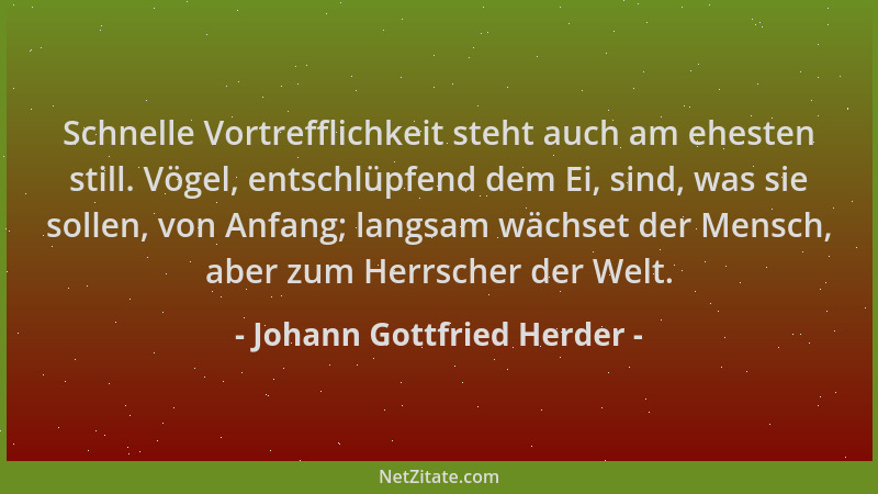 Johann Gottfried Herder - Schnelle Vortrefflichkeit steht auch am ehesten still. Vögel, entschlüpfend dem Ei, sind, was sie...