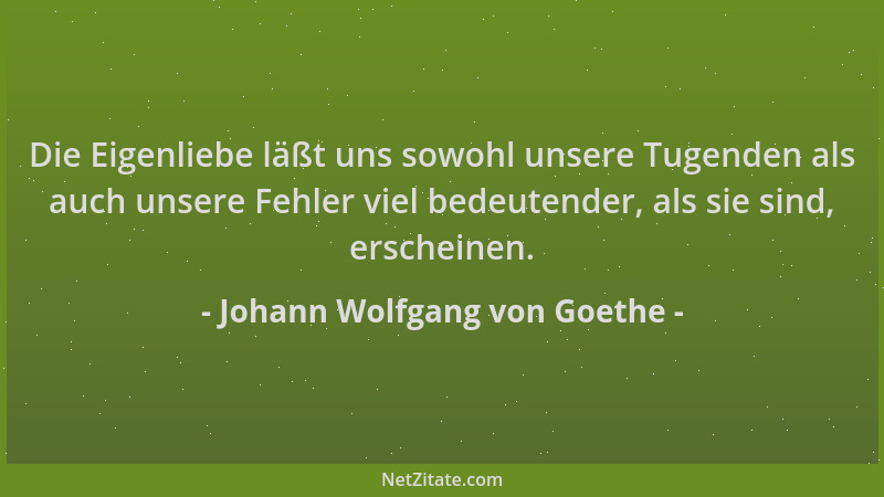 Johann Wolfgang von Goethe - Die Eigenliebe läßt uns sowohl unsere Tugenden als auch unsere Fehler viel bedeutender, als si...