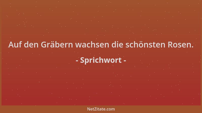 Sprichwort - Auf den Gräbern wachsen die schönsten Rosen....