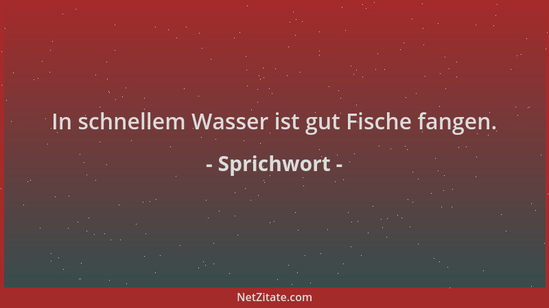 Sprichwort - In schnellem Wasser ist gut Fische fangen....