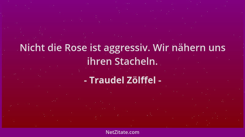 Traudel Zölffel - Nicht die Rose ist aggressiv. Wir nähern uns ihren Stacheln....