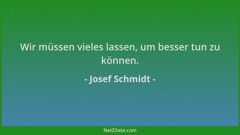 Josef Schmidt - Wir müssen vieles lassen, um besser tun zu können....