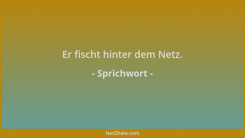Sprichwort - Er fischt hinter dem Netz....