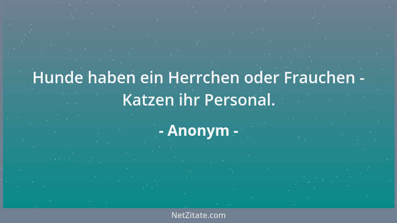 Anonym - Hunde haben ein Herrchen oder Frauchen - Katzen ihr Personal....