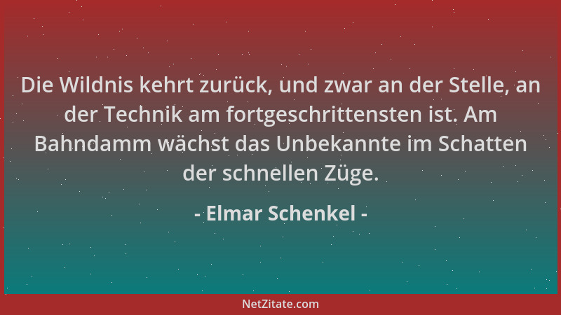 Elmar Schenkel - Die Wildnis kehrt zurück, und zwar an der Stelle, an der Technik am fortgeschrittensten ist. Am Bahndamm w...