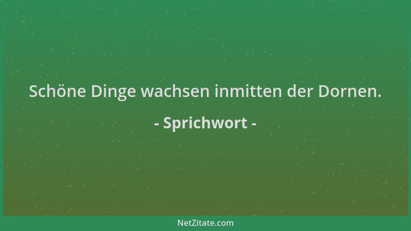 Sprichwort - Schöne Dinge wachsen inmitten der Dornen....