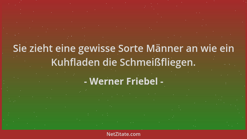 Werner Friebel - Sie zieht eine gewisse Sorte Männer an wie ein Kuhfladen die Schmeißfliegen....