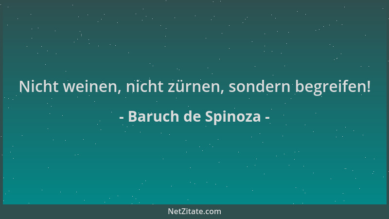 Baruch de Spinoza - Nicht weinen, nicht zürnen, sondern begreifen!...
