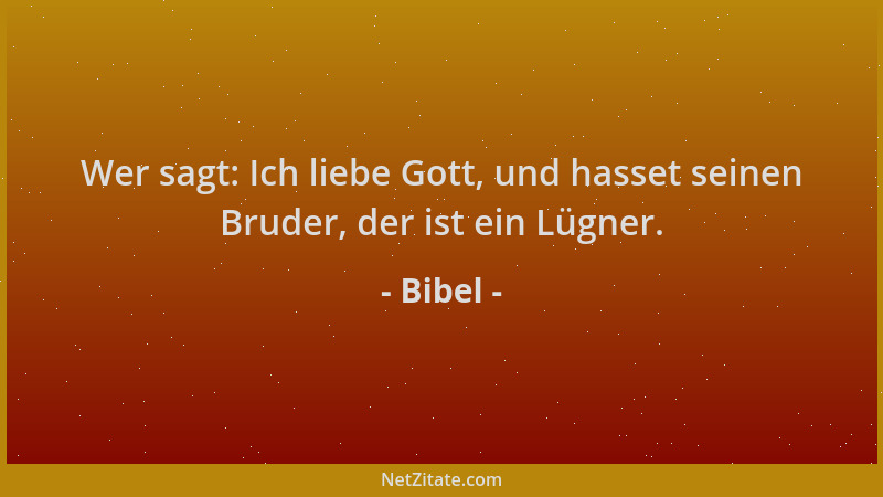 Bibel - Wer sagt: Ich liebe Gott, und hasset seinen Bruder, der ist ein Lügner....