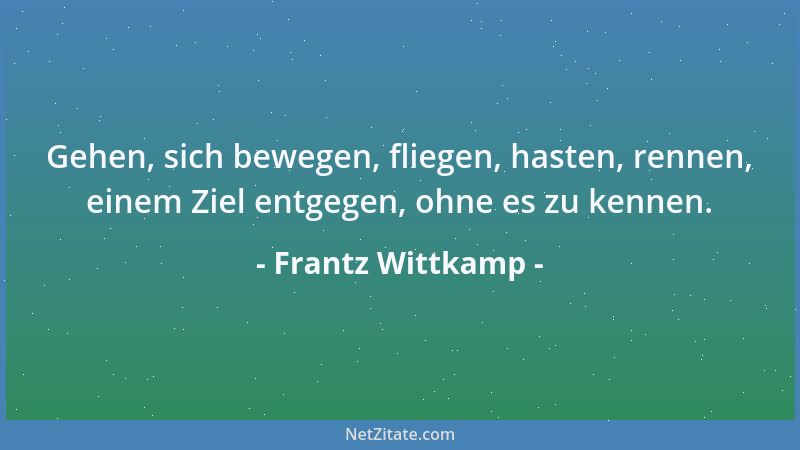 Frantz Wittkamp - Gehen, sich bewegen, fliegen, hasten, rennen, einem Ziel entgegen, ohne es zu kennen....