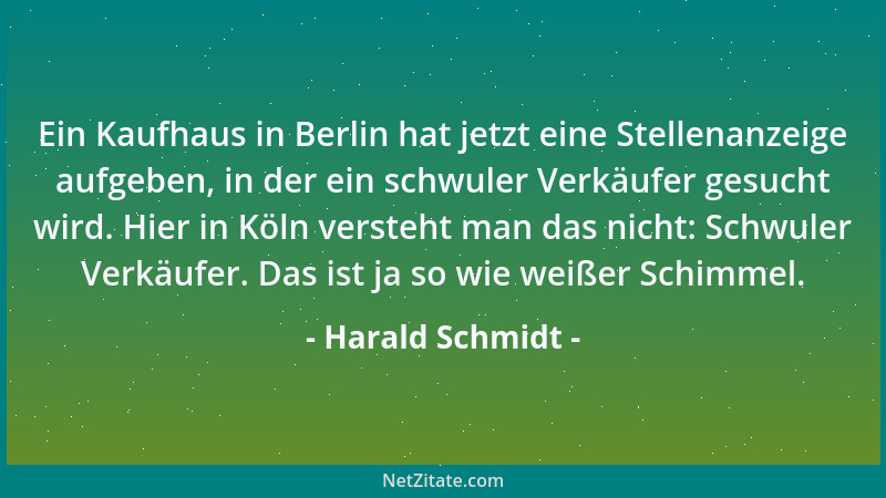 Harald Schmidt - Ein Kaufhaus in Berlin hat jetzt eine Stellenanzeige aufgeben, in der ein schwuler Verkäufer gesucht wird....