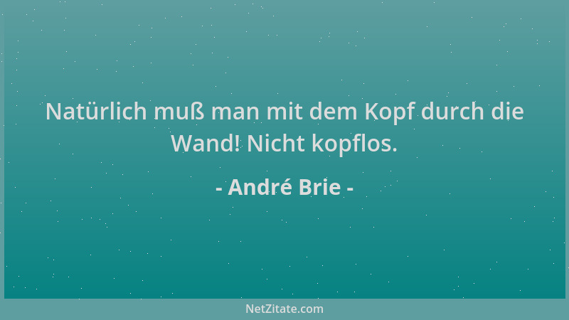 André Brie - Natürlich muß man mit dem Kopf durch die Wand! Nicht kopflos....