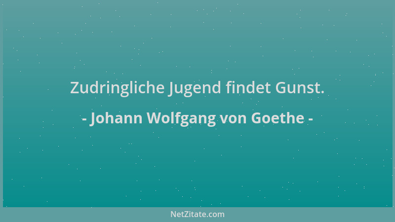 Johann Wolfgang von Goethe - Zudringliche Jugend findet Gunst....