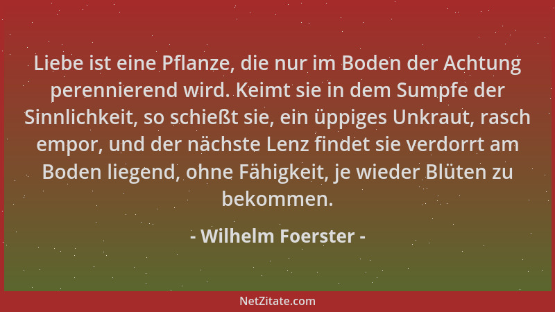 Wilhelm Foerster - Liebe ist eine Pflanze, die nur im Boden der Achtung perennierend wird. Keimt sie in dem Sumpfe der Sinn...