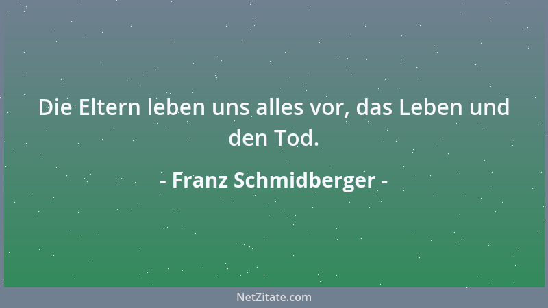 Franz Schmidberger - Demokratie heißt: Die Probleme gemeinsam lösen....