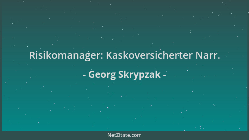 Georg Skrypzak - Risikomanager: Kaskoversicherter Narr....