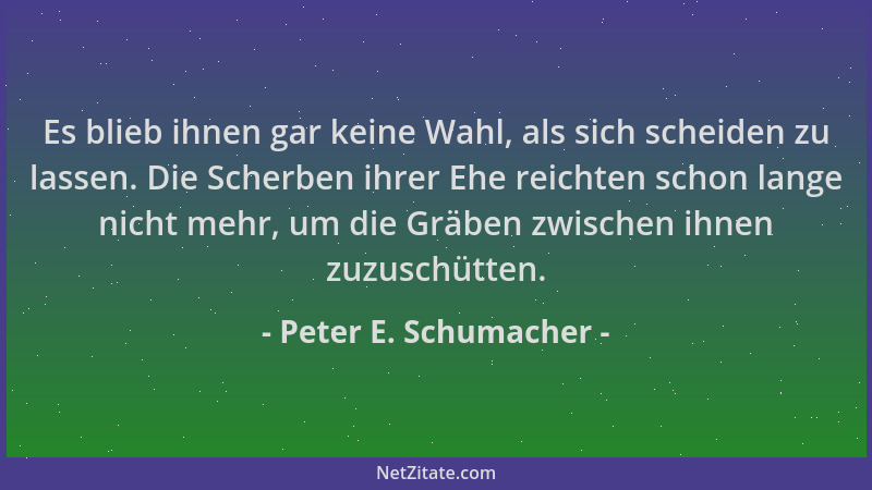 Peter E. Schumacher - Es blieb ihnen gar keine Wahl, als sich scheiden zu lassen. Die Scherben ihrer Ehe reichten schon lan...