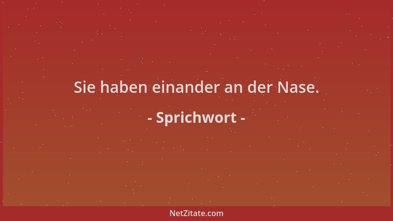 Sprichwort - Sie haben einander an der Nase....