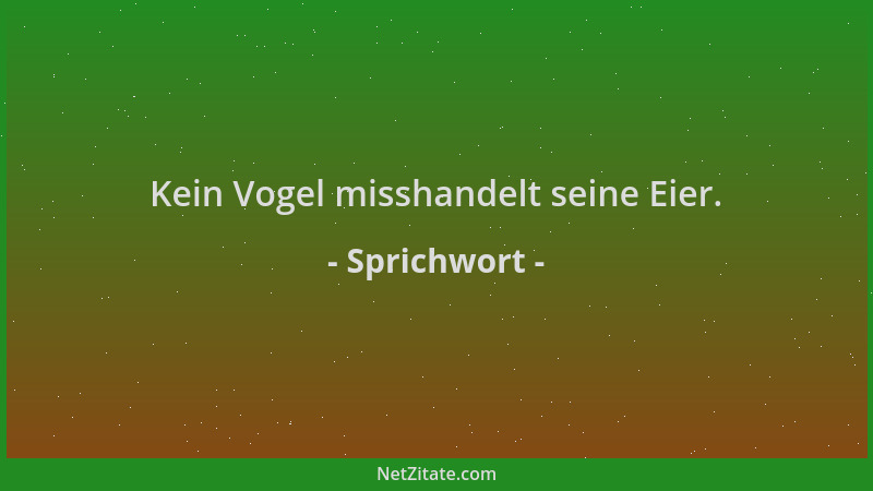 Sprichwort - Kein Vogel misshandelt seine Eier....