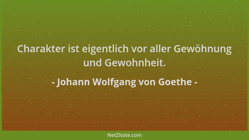 Johann Wolfgang von Goethe - Charakter ist eigentlich vor aller Gewöhnung und Gewohnheit....