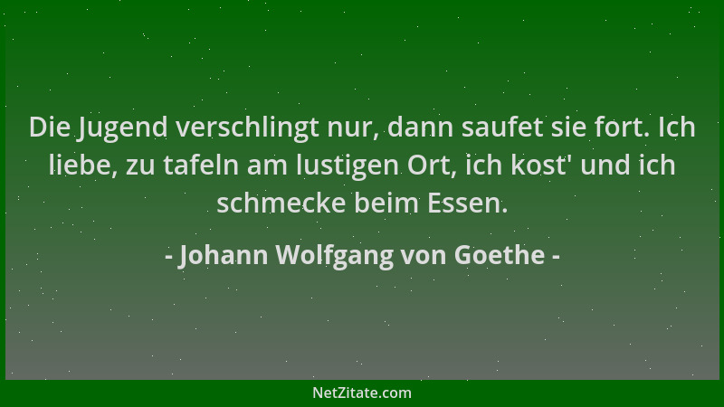 Johann Wolfgang von Goethe - Die Jugend verschlingt nur, dann saufet sie fort. Ich liebe, zu tafeln am lustigen Ort, ich ko...
