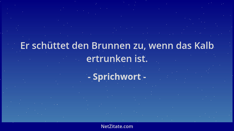 Sprichwort - Er schüttet den Brunnen zu, wenn das Kalb ertrunken ist....