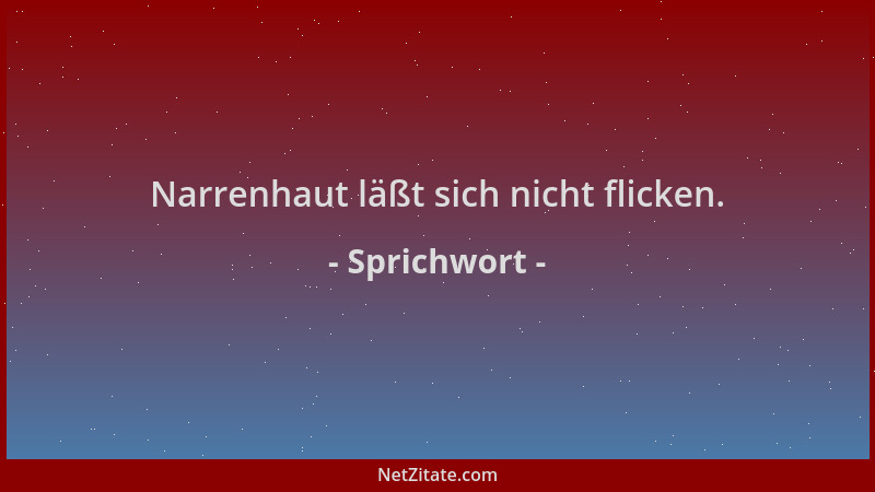 Sprichwort - Narrenhaut läßt sich nicht flicken....