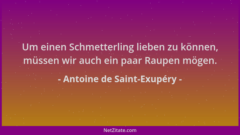 Antoine de Saint-Exupéry - Um einen Schmetterling lieben zu können, müssen wir auch ein paar Raupen mögen....