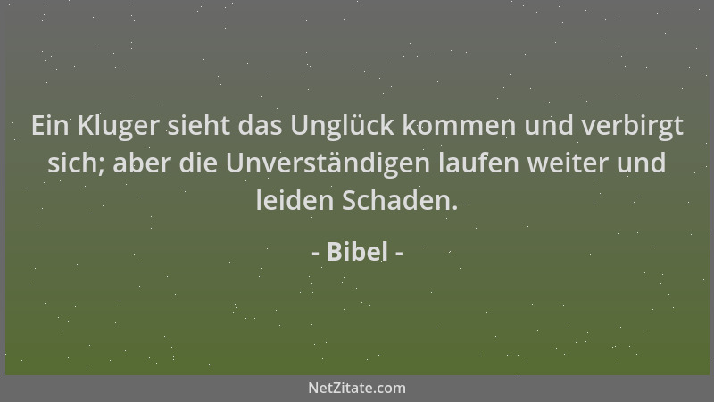 Bibel - Ein Kluger sieht das Unglück kommen und verbirgt sich; aber die Unverständigen laufen weiter und leiden Schaden....