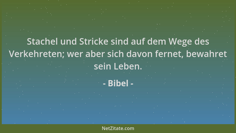 Bibel - Stachel und Stricke sind auf dem Wege des Verkehreten; wer aber sich davon fernet, bewahret sein Leben....