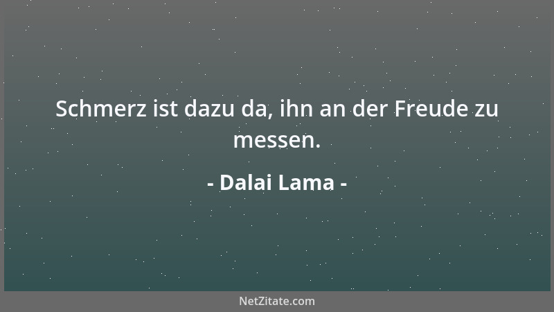 Dalai Lama - Schmerz ist dazu da, ihn an der Freude zu messen....