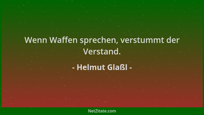 Helmut Glaßl - Wenn Waffen sprechen, verstummt der Verstand....