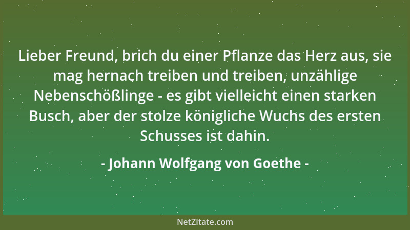 Johann Wolfgang von Goethe - Lieber Freund, brich du einer Pflanze das Herz aus, sie mag hernach treiben und treiben, unzäh...