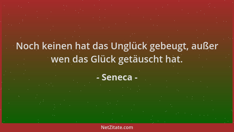 Seneca - Noch keinen hat das Unglück gebeugt, außer wen das Glück getäuscht hat....