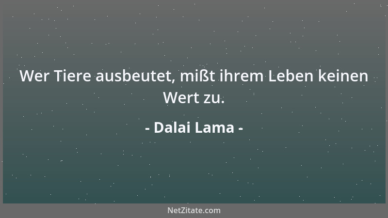 Dalai Lama - Wer Tiere ausbeutet, mißt ihrem Leben keinen Wert zu....