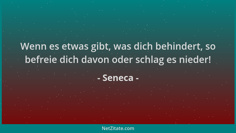 Seneca - Wenn es etwas gibt, was dich behindert, so befreie dich davon oder schlag es nieder!...