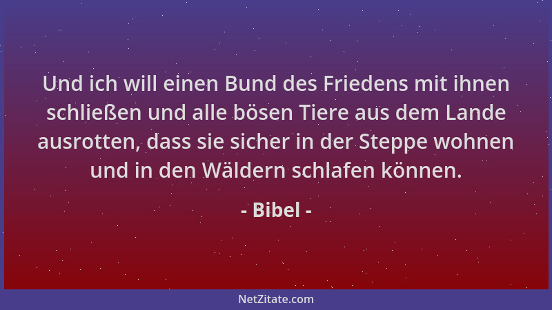 Bibel - Und ich will einen Bund des Friedens mit ihnen schließen und alle bösen Tiere aus dem Lande ausrotten, dass sie sic...