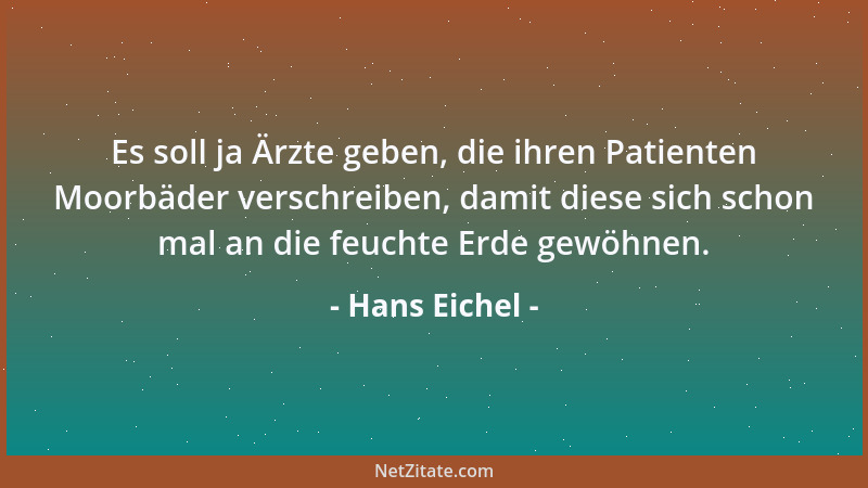 Hans Eichel - Es soll ja Ärzte geben, die ihren Patienten Moorbäder verschreiben, damit diese sich schon mal an die feuchte...