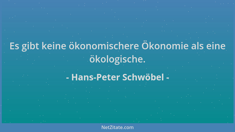 Hans-Peter Schwöbel - Es gibt keine ökonomischere Ökonomie als eine ökologische....