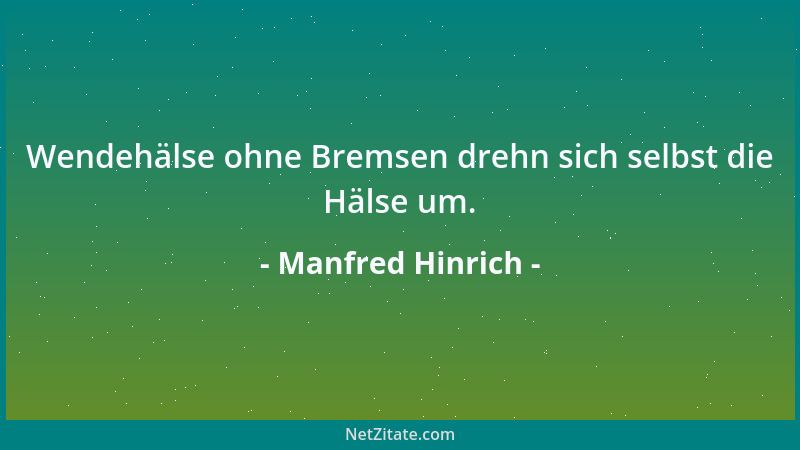 Manfred Hinrich - Binse, verkümmertes Wahrheitsgewächs!...