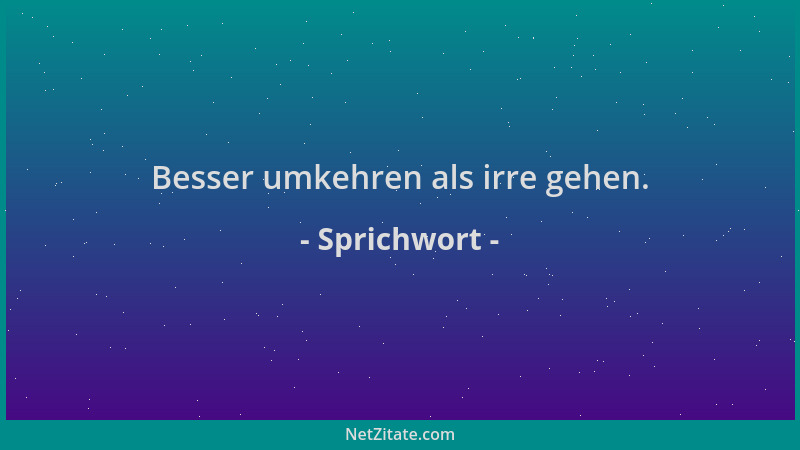 Sprichwort - Besser umkehren als irre gehen....