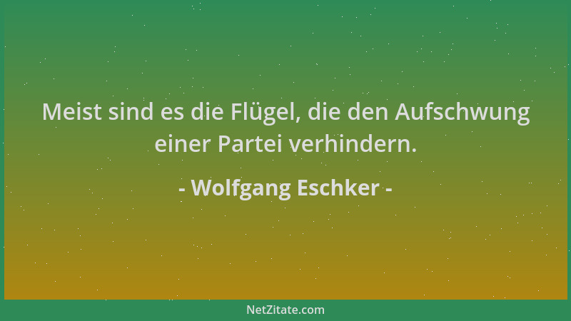 Wolfgang Eschker - Meist sind es die Flügel, die den Aufschwung einer Partei verhindern....