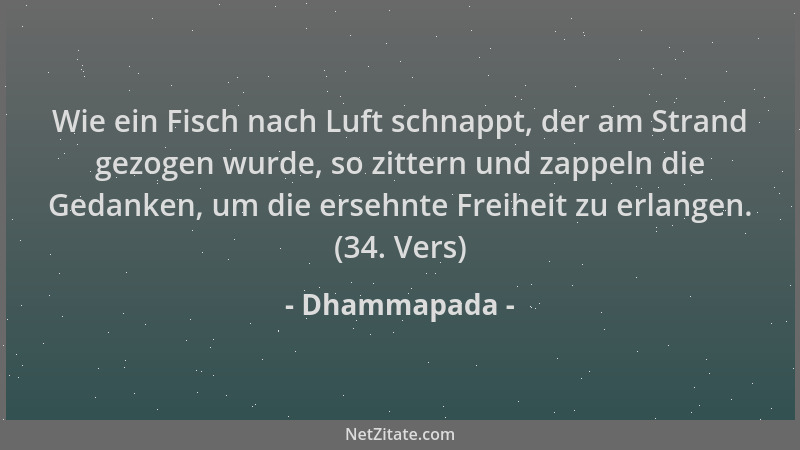Dhammapada - Wie ein Fisch nach Luft schnappt, der am Strand gezogen wurde, so zittern und zappeln die Gedanken, um die ers...