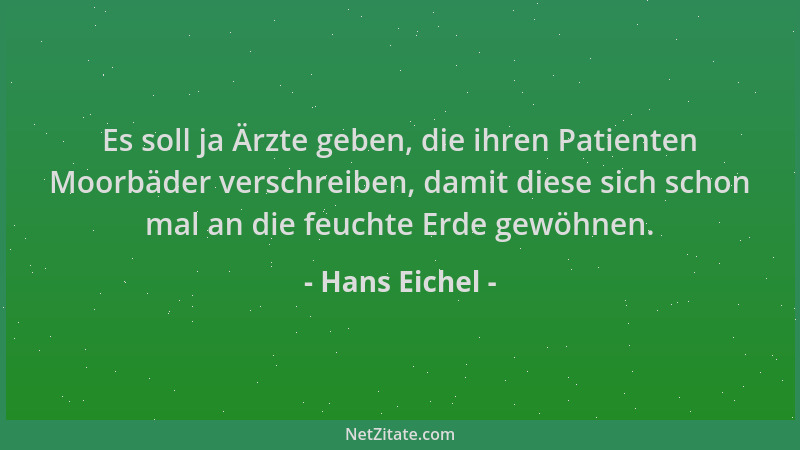 Hans Eichel - Es soll ja Ärzte geben, die ihren Patienten Moorbäder verschreiben, damit diese sich schon mal an die feuchte...